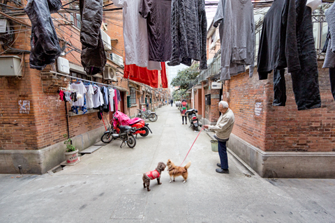 man walking dog in shanghai alley china