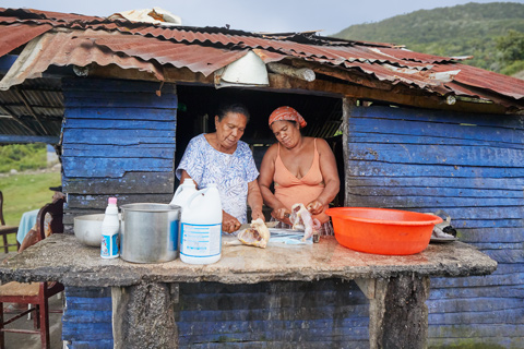 Two ladies butchering chickens in the countryside Dominican Republic