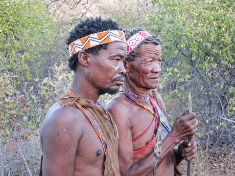 kalahari bushmen botswana