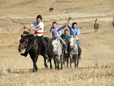 mongolian horse race in the steppe mongolia